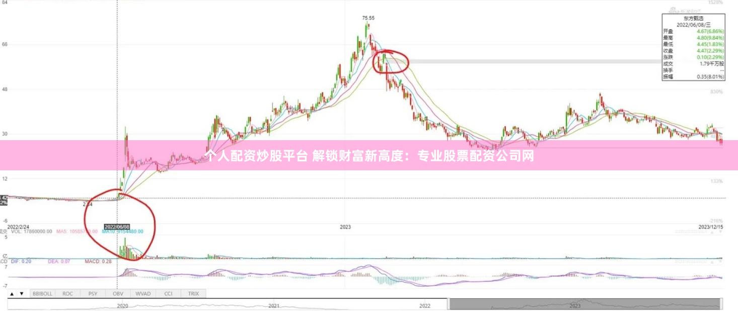 个人配资炒股平台 解锁财富新高度：专业股票配资公司网